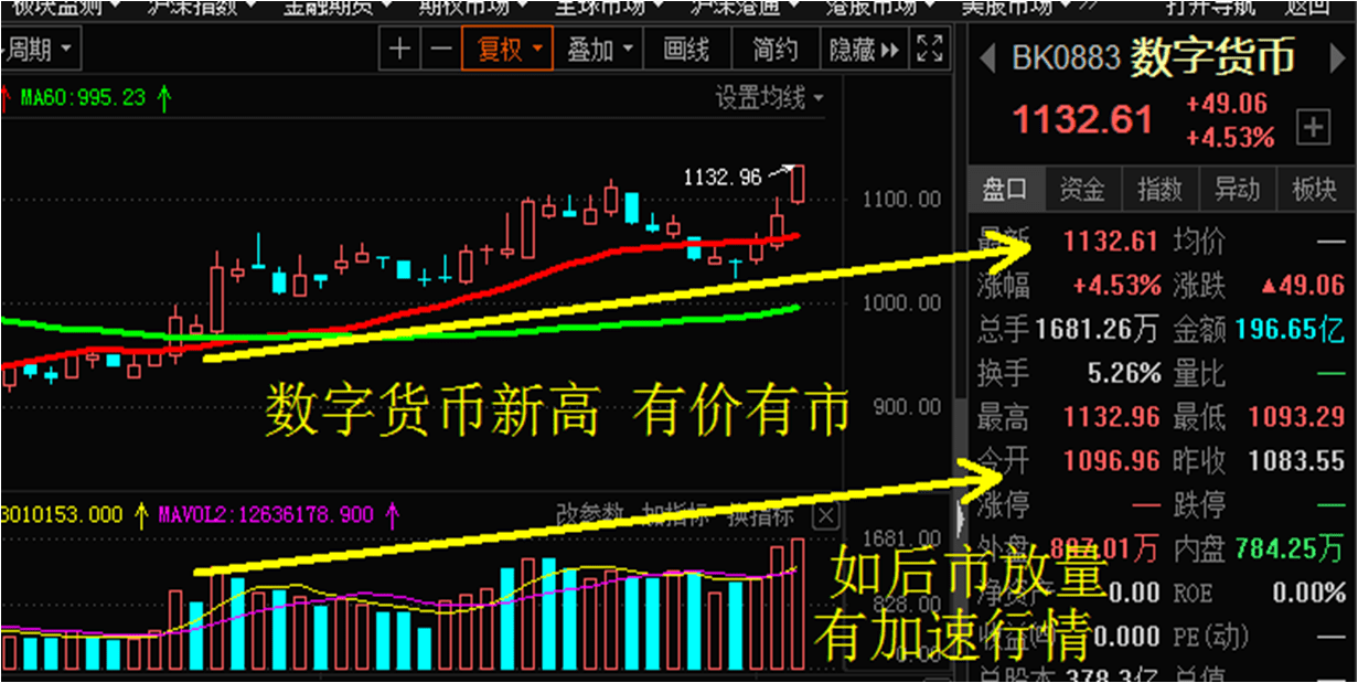 黄瓜今日最新价格，市场分析、影响因素及价格动态报告