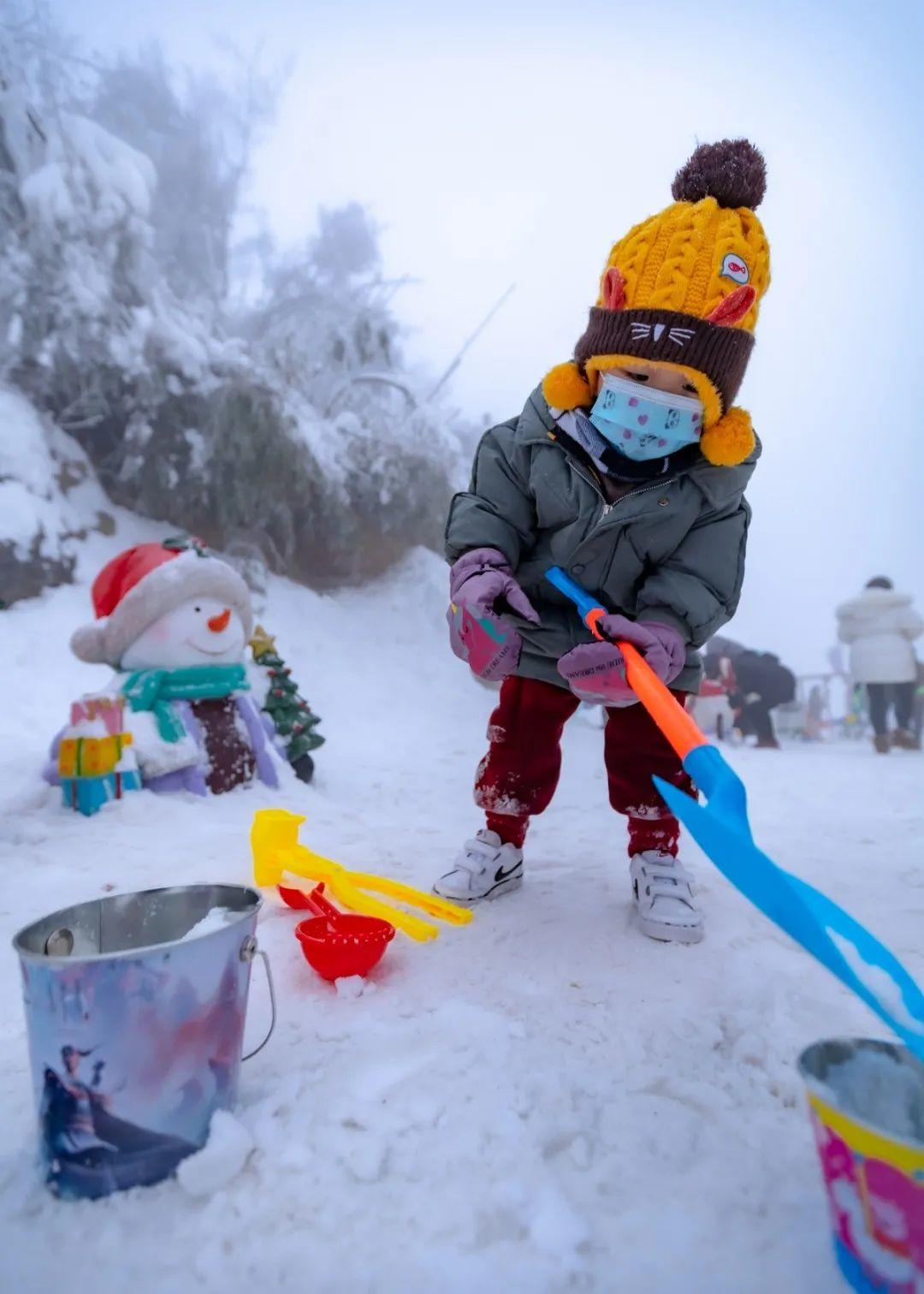 北海道冬日雪地上的暖心故事最新报道