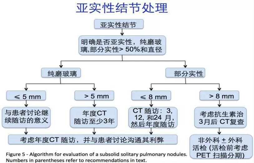 最新抗生素使用原则，背景、影响分析与展望