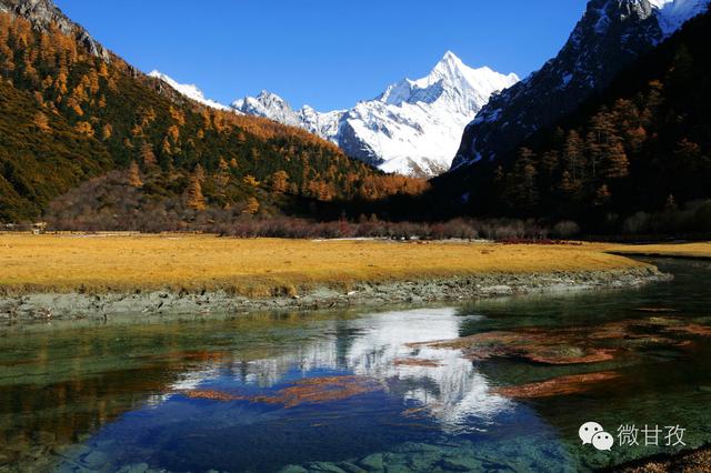 师改旅最新消息,师改旅最新消息，一场拥抱自然美景的心灵之旅