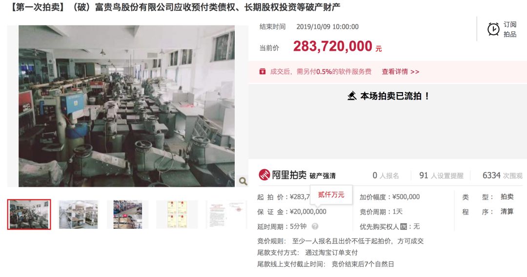 富贵鸟最新动态与全面了解，初学者与进阶用户的必备指南