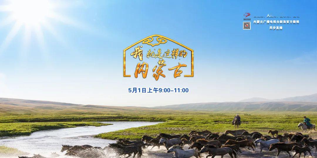最新内蒙唢呐视频大全，自然美景中的心灵之旅