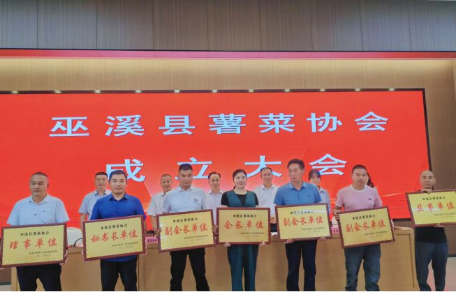 科技之光照亮乡村振兴之路，上市扶贫助力脱贫攻坚与乡村振兴