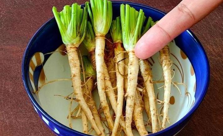 广东菜心最新价格动态及市场走势与影响因素分析