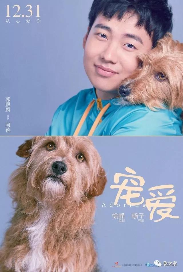 最新苹果12报价，友情与陪伴的温馨物语