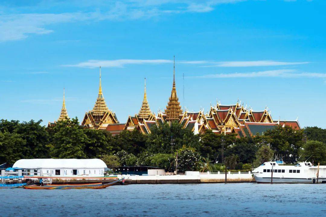 最新款秃鹰，自然美景的轻松探索之旅