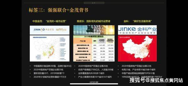 伏天记最新章节深度解析与观点阐述