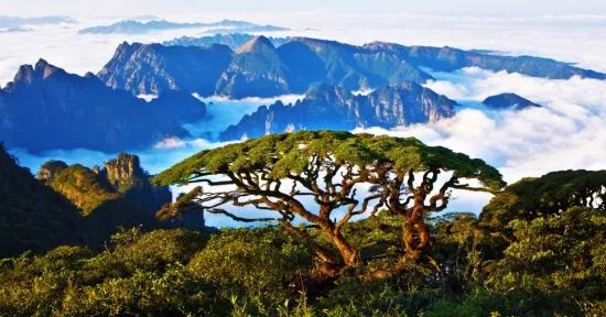 探索自然美景之旅，最新消息与内心的平静喜悦——以603693为中心