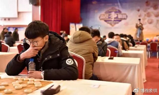领悟棋牌最新版，友情与陪伴的温馨棋牌世界