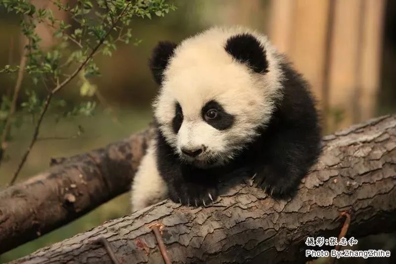 免疫学技术检测服务 第40页