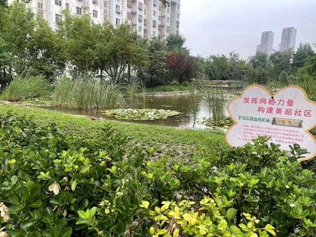 草流社区最新地址及其历史背景与时代地位介绍