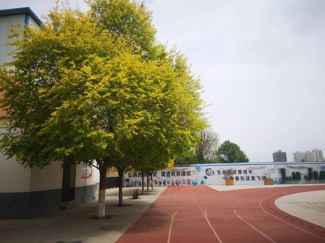 九大音乐学院最新排名及指南概览