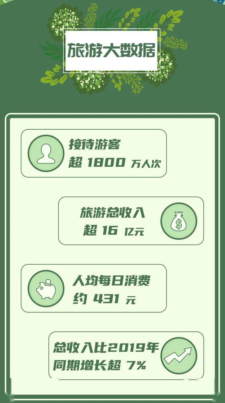 最新裁剪图技术，应用、影响与观点分析