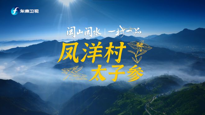 优信最新广告，启程自然美景探索之旅，内心宁静之旅开启