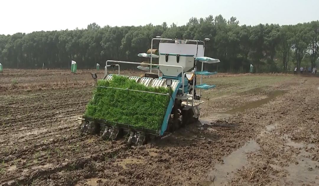 🌟最新小型农业机械，推动农业现代化进程🚜