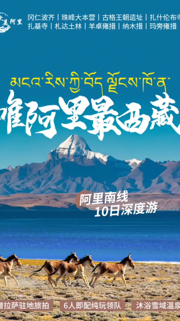 碧荷阿里里呀最新动态，学习变化，自信闪耀，成就无限未来