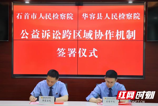 华容红网最新消息及其观点论述速递