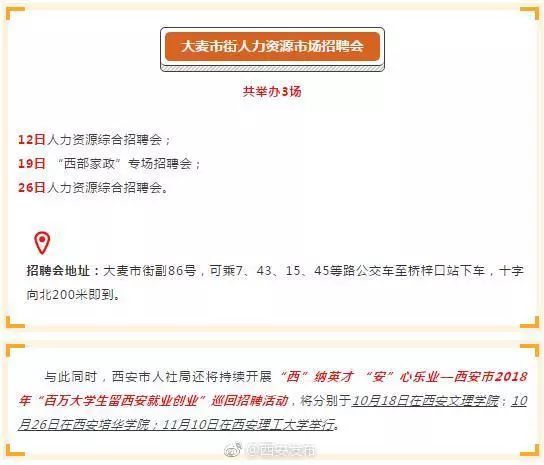 泗阳人才网最新招聘与美食探索，小巷深处的独特风味揭秘