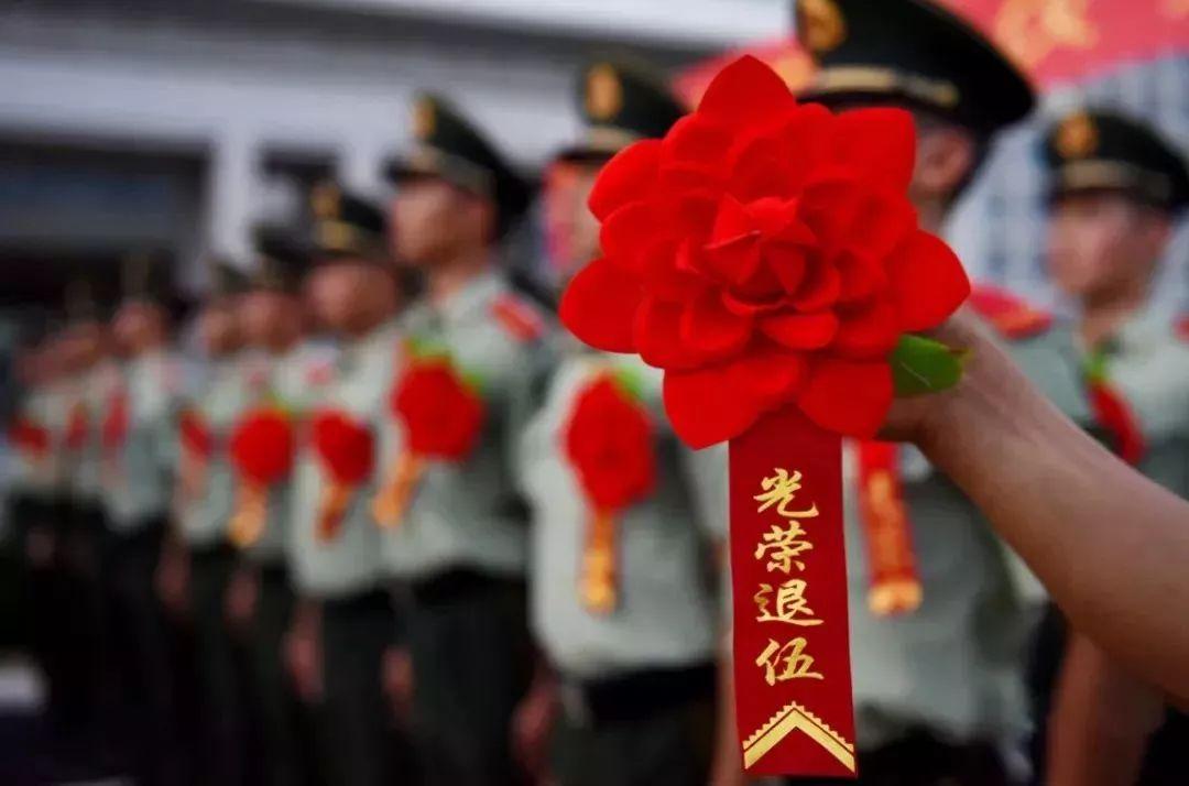 下岗志愿兵最新政策解读与福利更新🌱🌼
