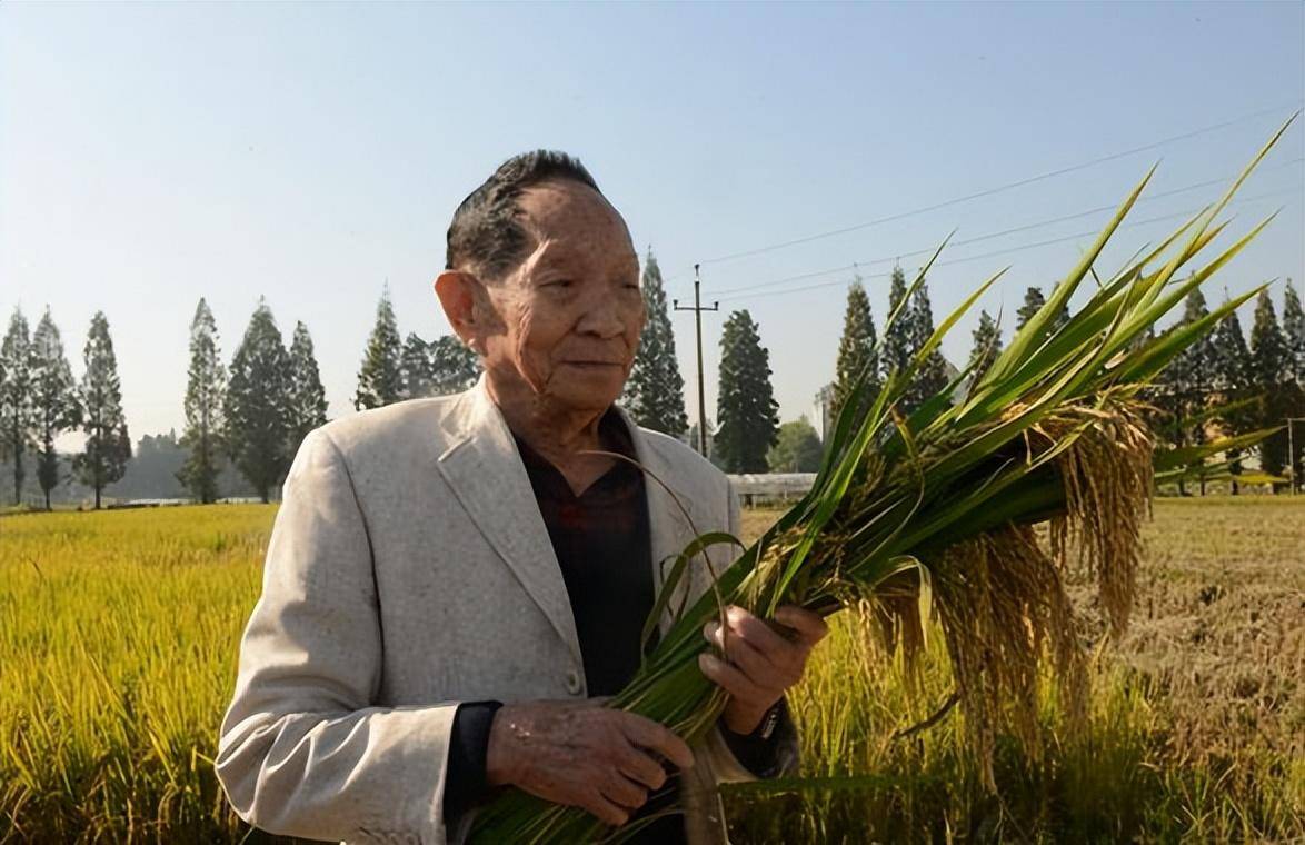袁隆平，稻田传奇人物的最新动态