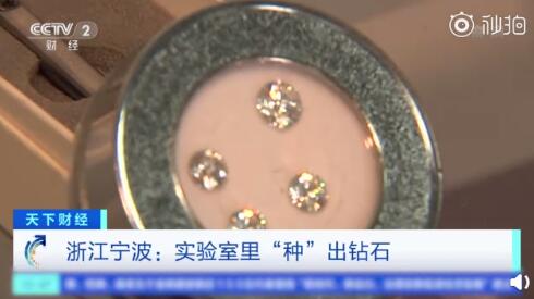炬璟生物科技 第16页