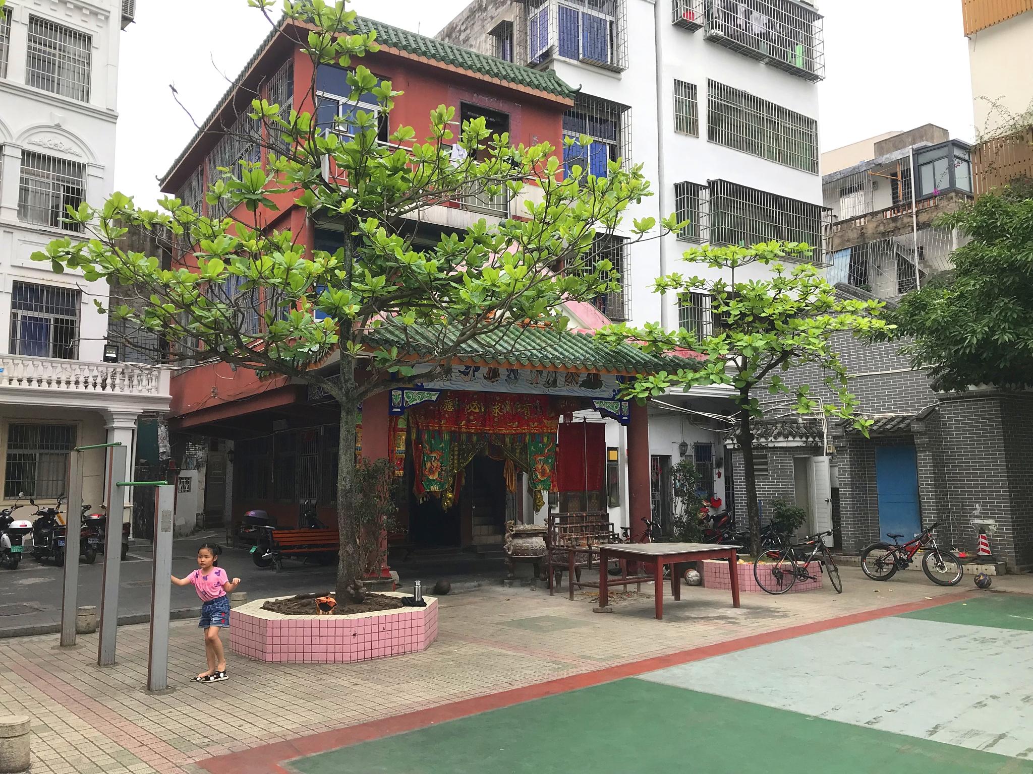 海口最新限购政策出台，探寻小巷独特风情成焦点