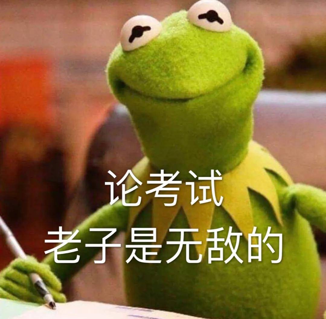 最新肉鹅价格背后的励志故事，自信成就逆风翻盘胜利篇章