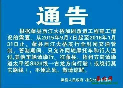 藤县西江大桥最新动态更新🌉
