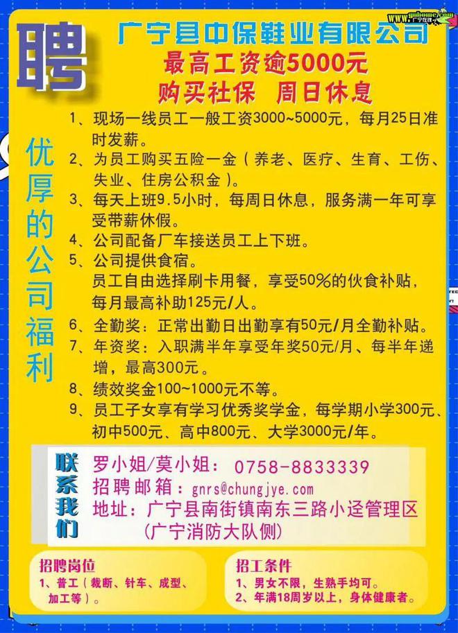 最新招聘信息