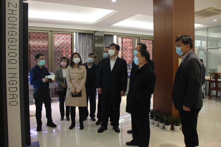 洮南疫情最新动态及应对步骤指南，初学者与进阶用户通用指南